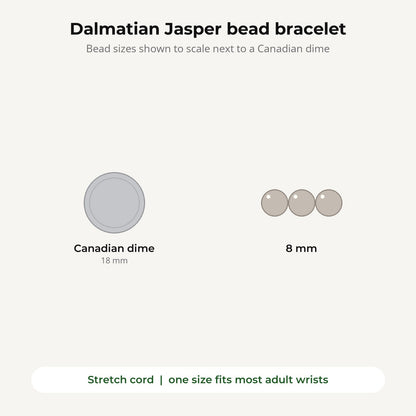 Dalmatian Jasper Round Bracelet - 8mm