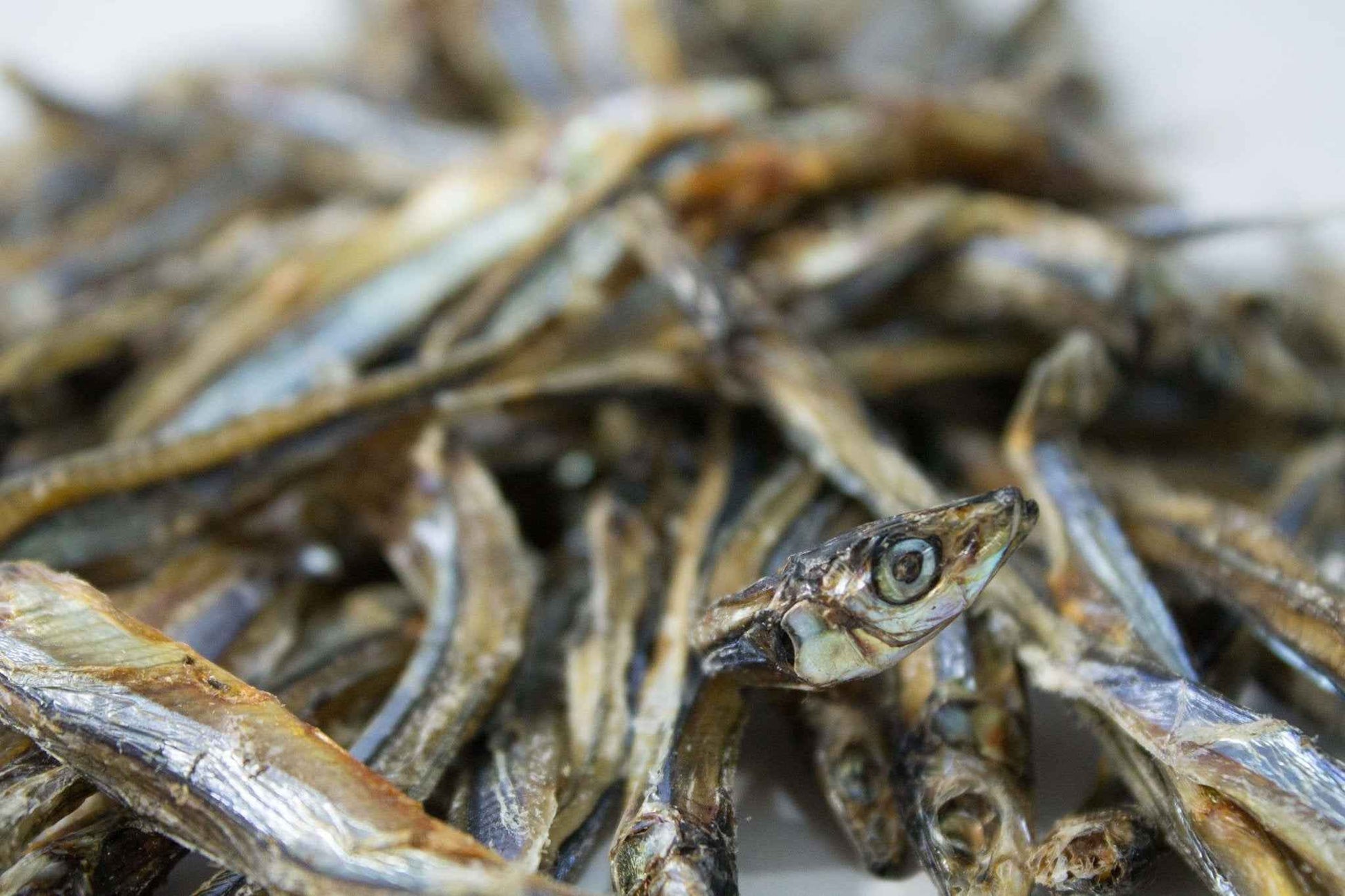 Dried Sardines 40g - Case of 18