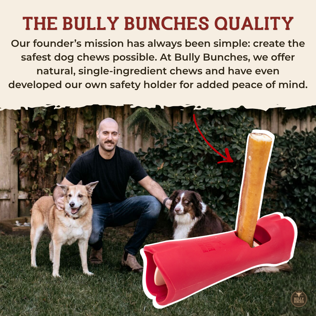 6 Inch Beef Trachea