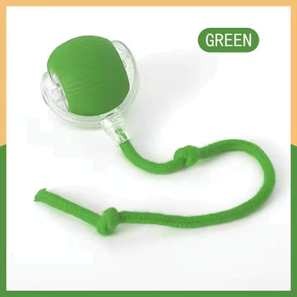 Pet Vibrating Bouncing Ball Toy with Tail