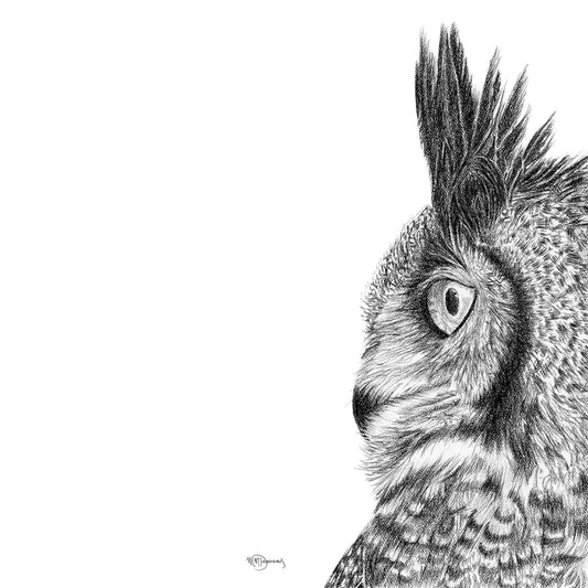 Great Horned Owl - Black and White Wildlife Art Print