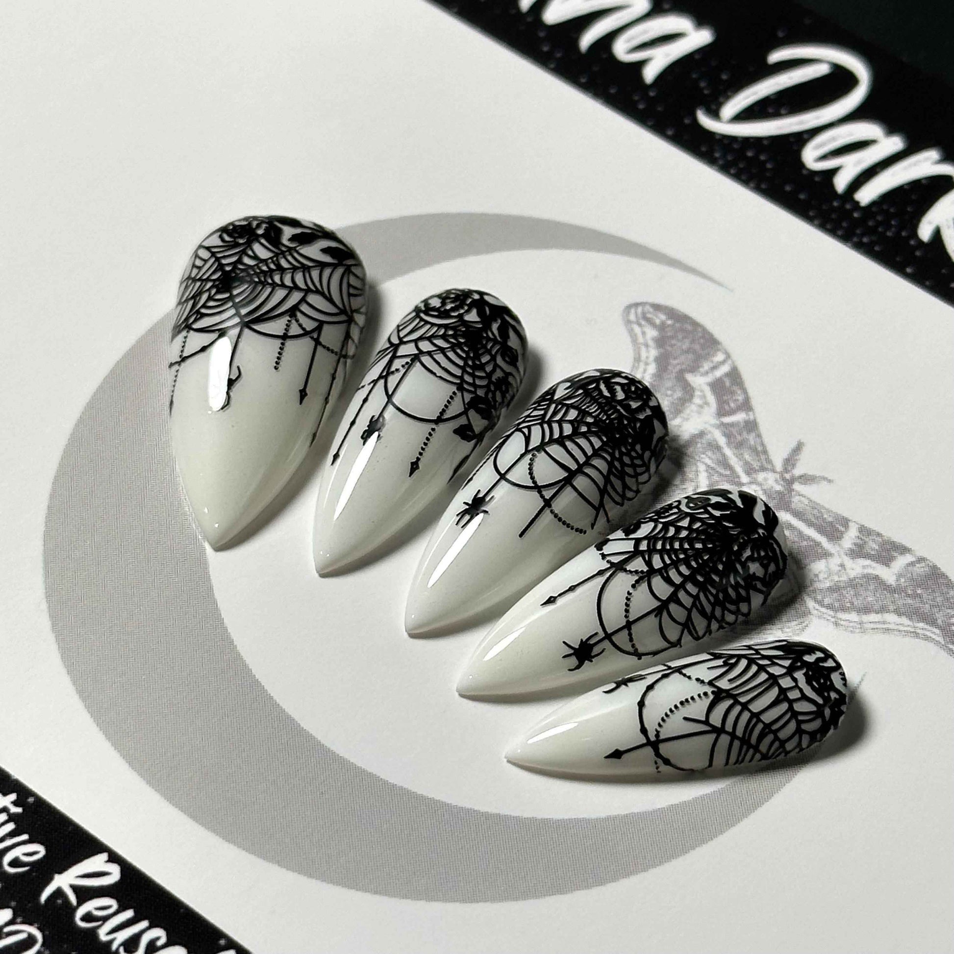 Lace-Web Chic