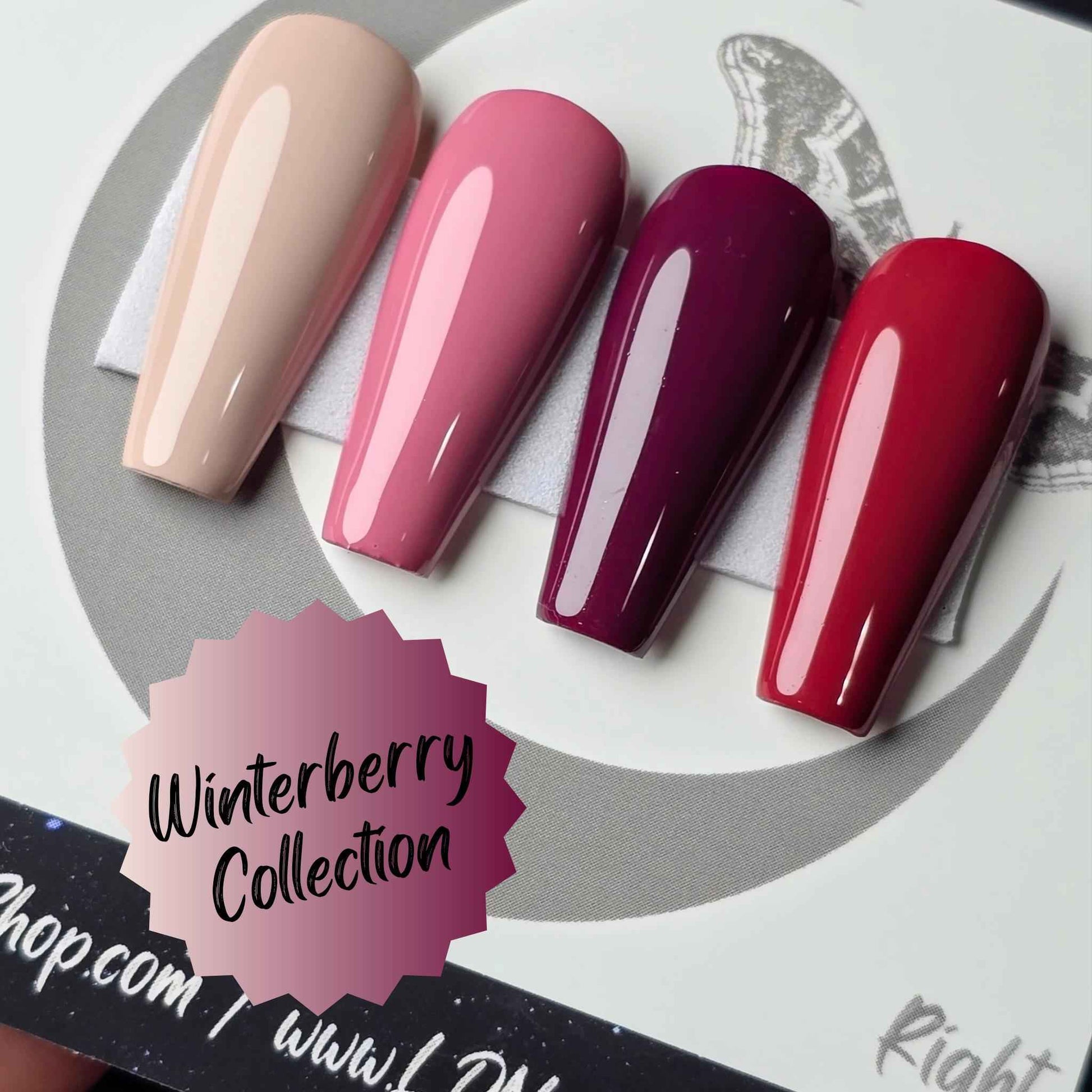 Winterberry Collection