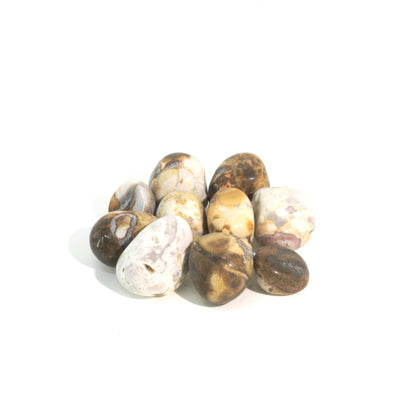 Orbicular Jasper Tumbled Stones - India