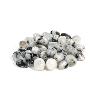 Rainbow Moonstone Tumbled Stones - India