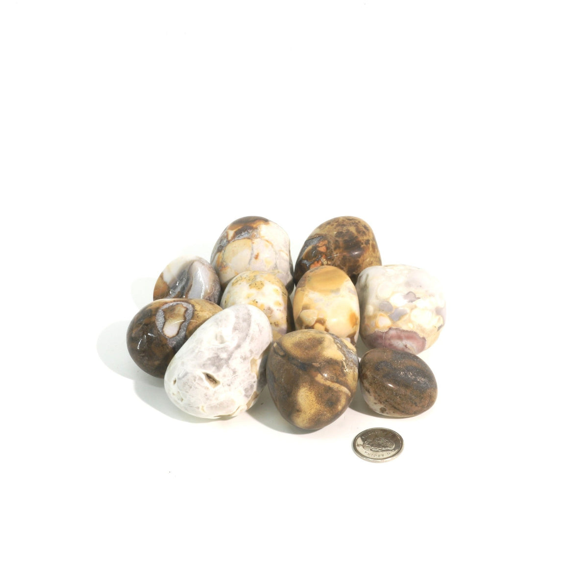 Orbicular Jasper Tumbled Stones - India