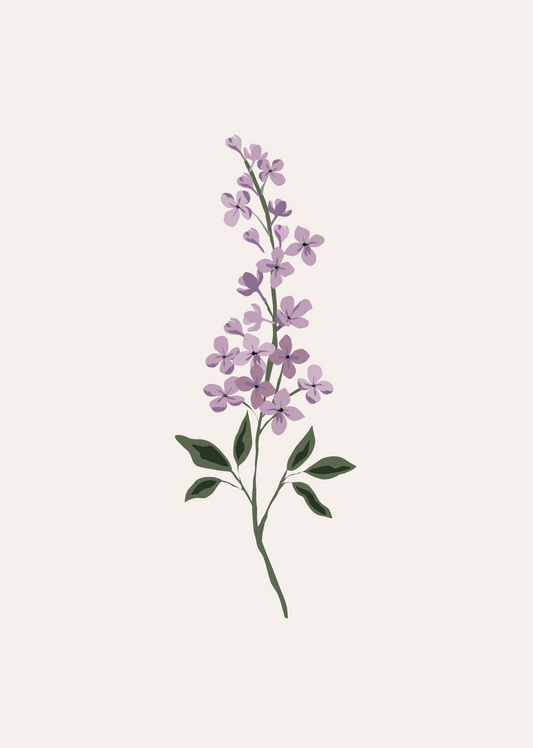 リラの花のアートプリント