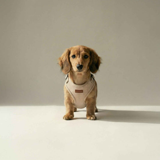 Tweed Harness