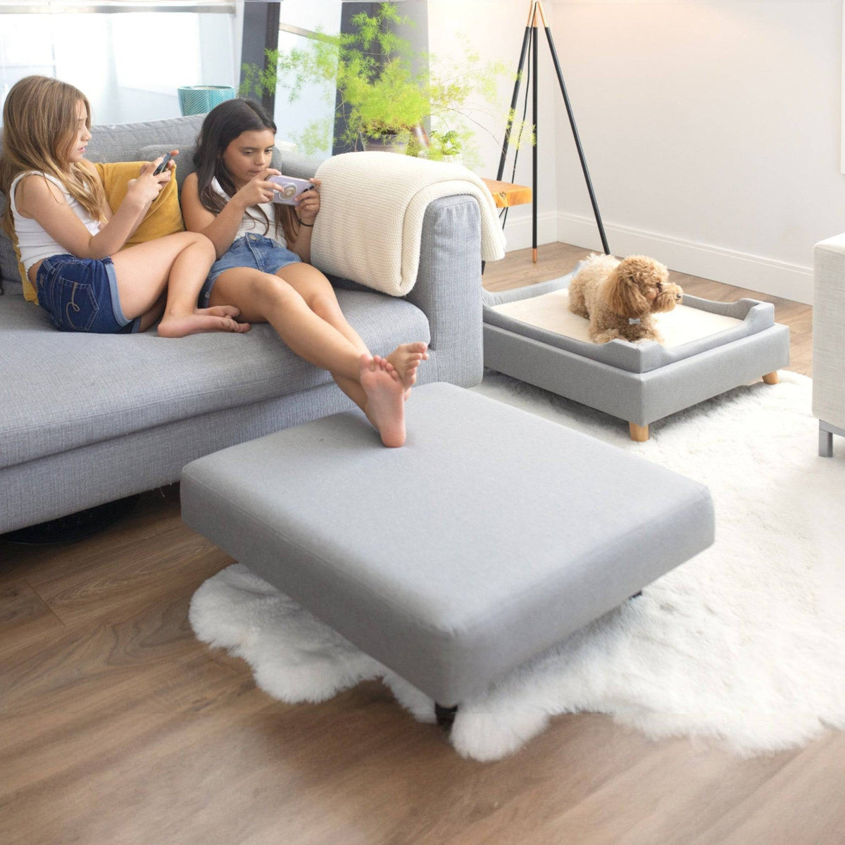otto pet ottoman