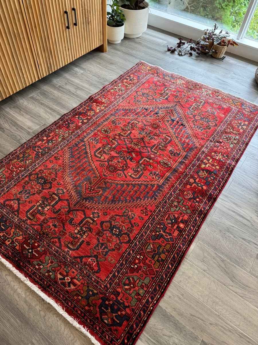 On Hold for Rose | Perisan Zanjan Rug | 4' 1" x 6' 8"