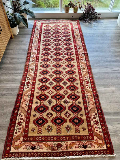 Persian Azerbaijan Runner Rug | 3' 10" x 9' 3"