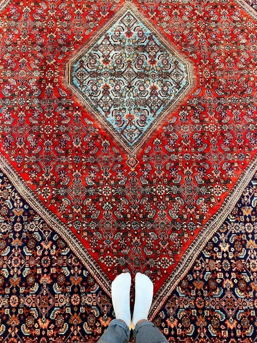 Persischer Bidjar Teppich | 307 cm x 211 cm