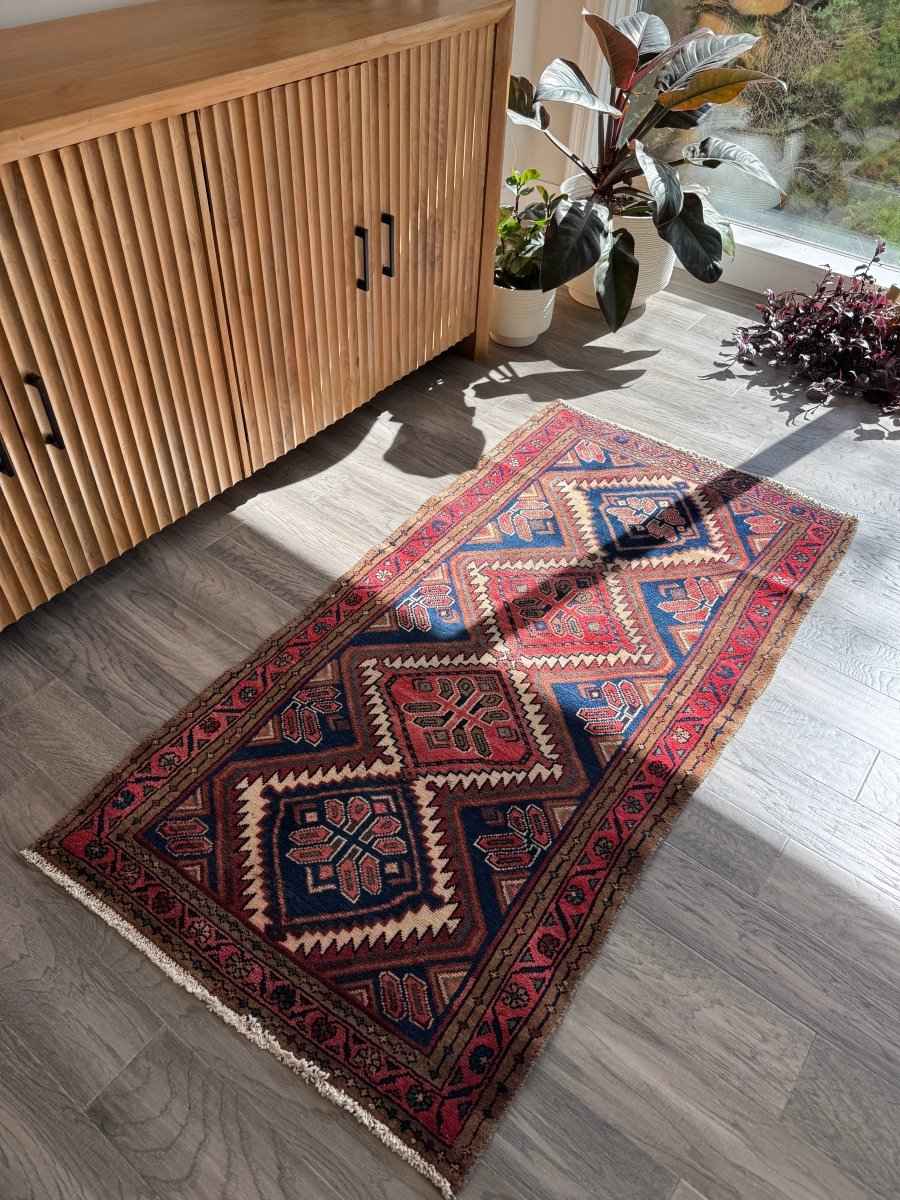 Persian Hamedan Rug | 2' 7" x 5' 1"
