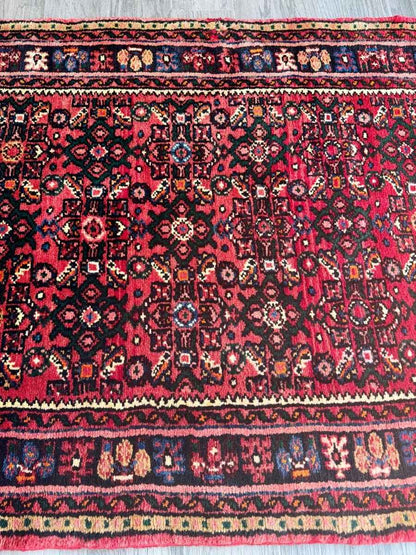 Persian Hossein Abad Runner Rug | 2' 11" x 9' 11"