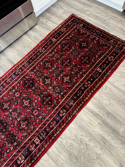 Persian Hosseinabad Runner Rug | 2' 11" x 9' 10"