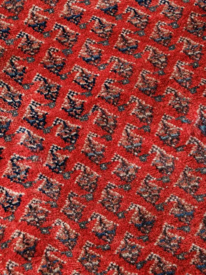 Persian Mir Rug | 8’ x 10’ 3”