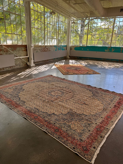 In Warteschleife für Sabrina | Persian Mood Teppich | 2,69 m x 3,53 m