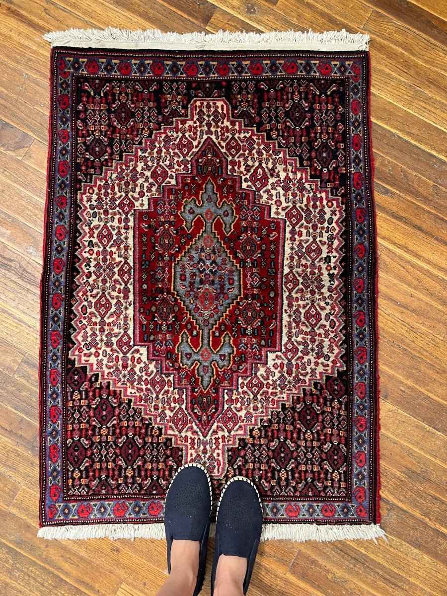 Persian Senneh Rug | 2' 4" x 3' 5"