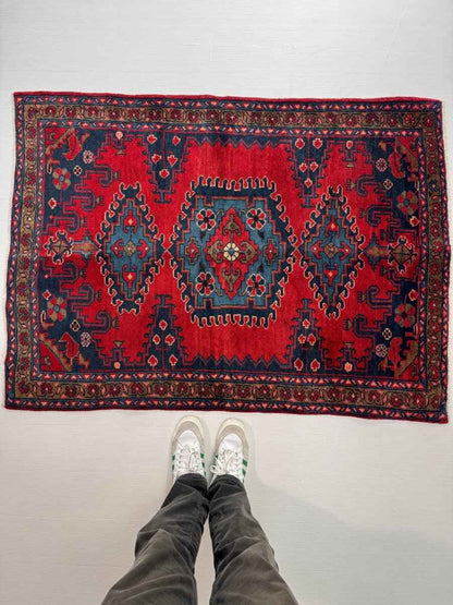 Persian Viss Rug | 3' 7” x 4' 11"