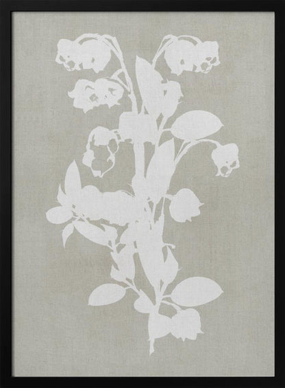 Wall art Botanical Illustration 4