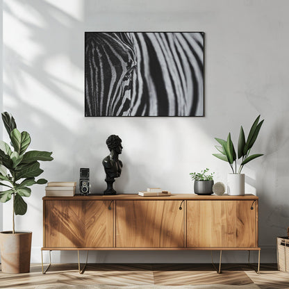 Wall art The look of nature