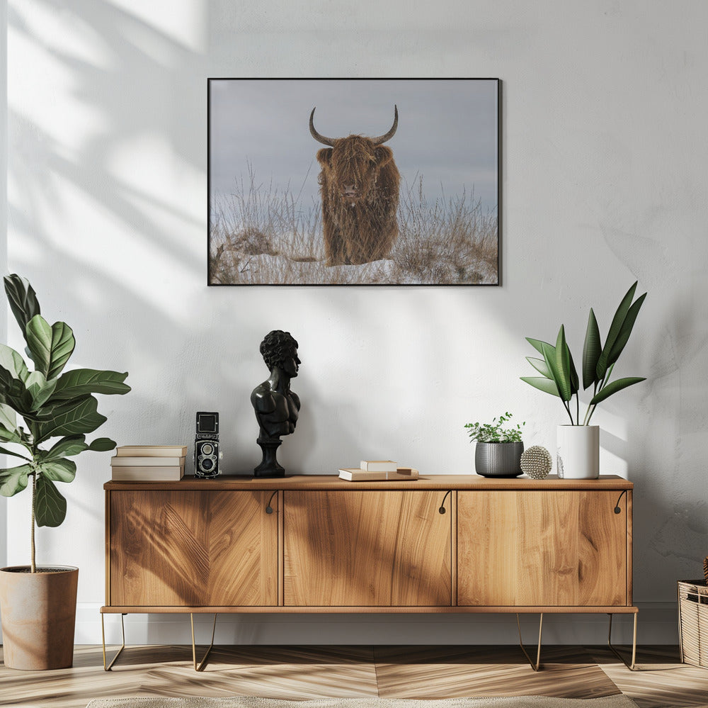 Wall Art Highlander in Snow