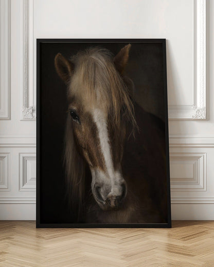 Wall art Sapience