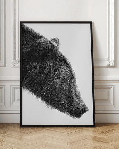 Wall art The Salmon Catcher