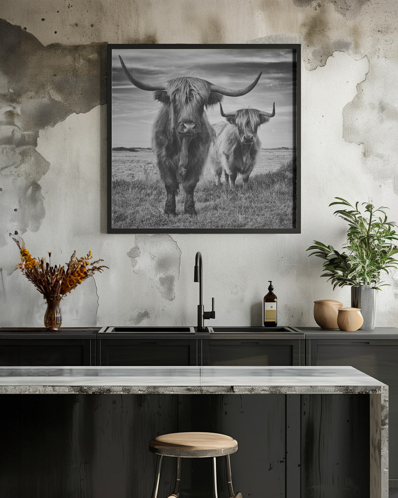Wall Art Highlands