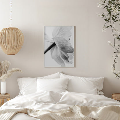 Wall art Blooming Flower Canvas Print