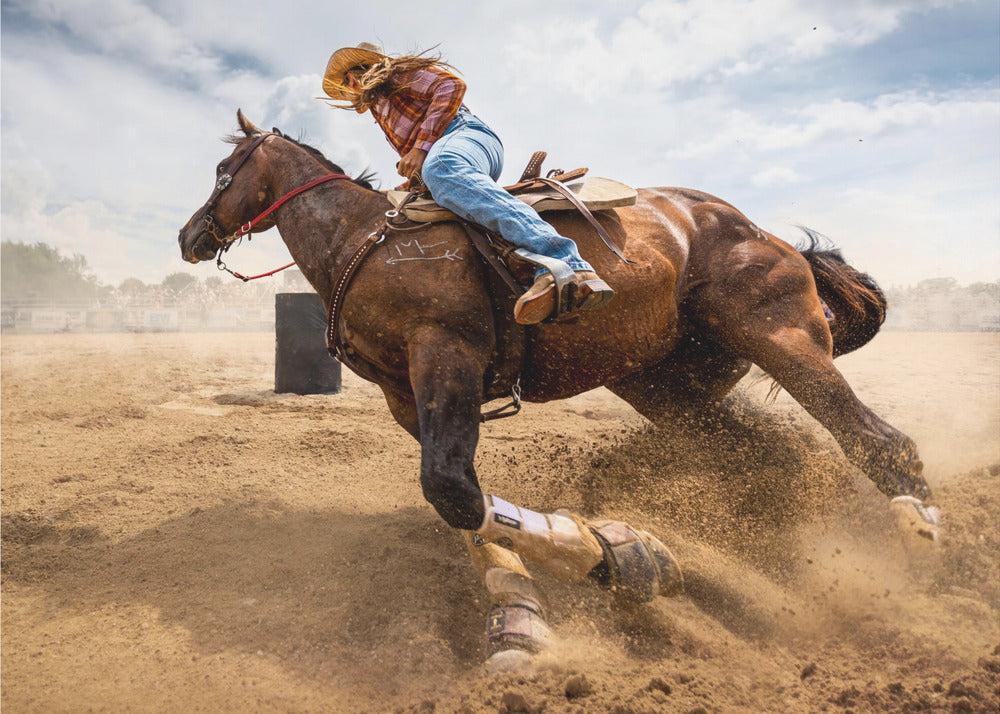 Bending Horse