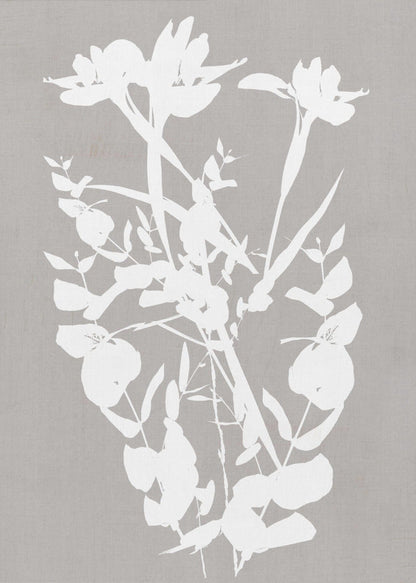 Wall art Botanical Illustration 1