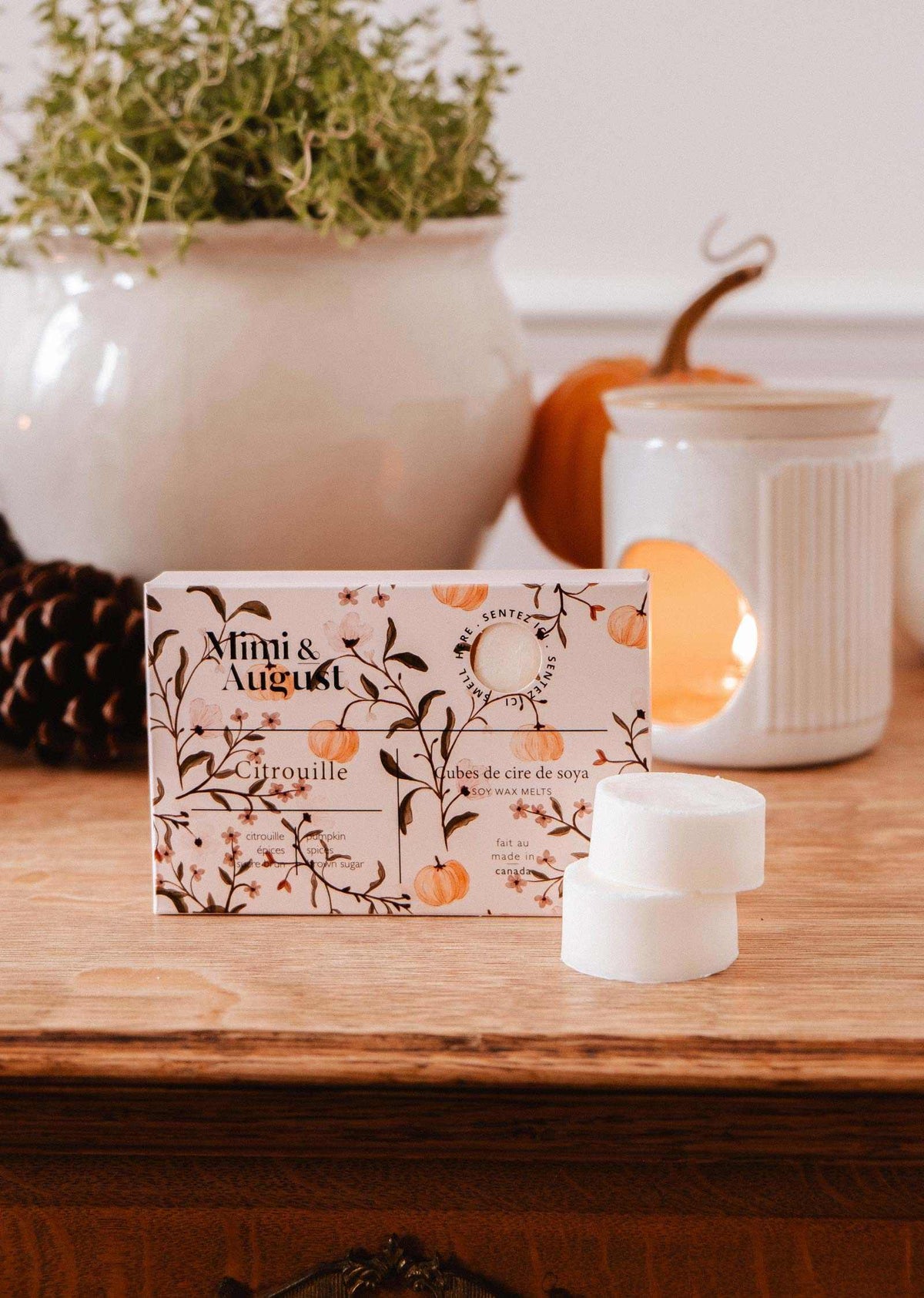 Soy Wax Melts - Citrouille