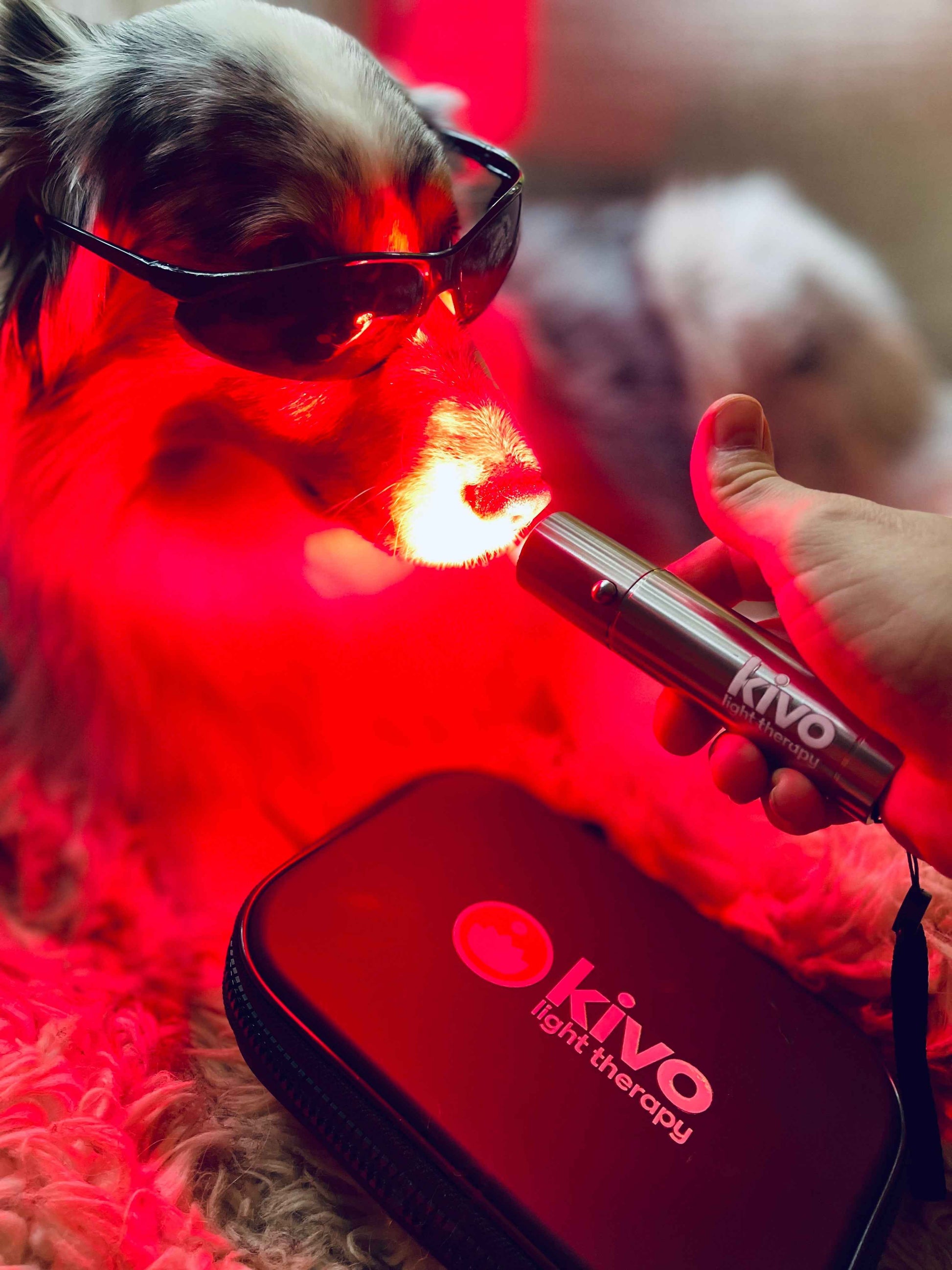 Kivo Elite Red Light Therapy Flashlight