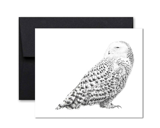Snowy Owl Greeting Card