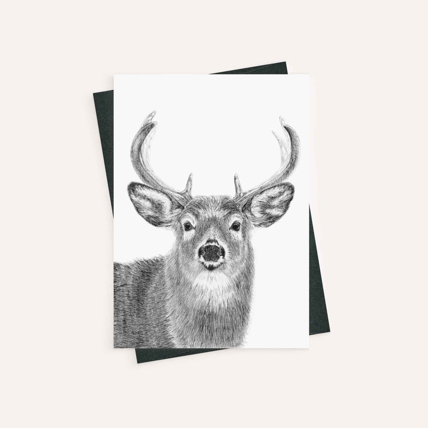 Stag - greeting card