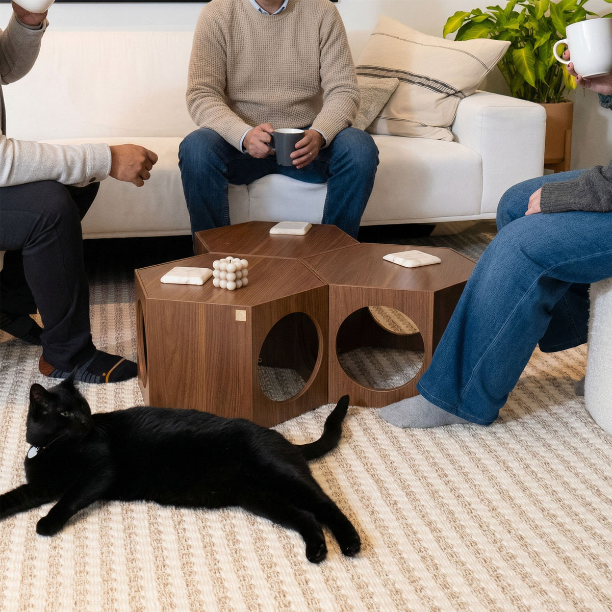 suki cat stool and shelf