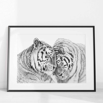 Amur Tigers - wildlife art print - collaboration with  La Fondation du Zoo de Granby