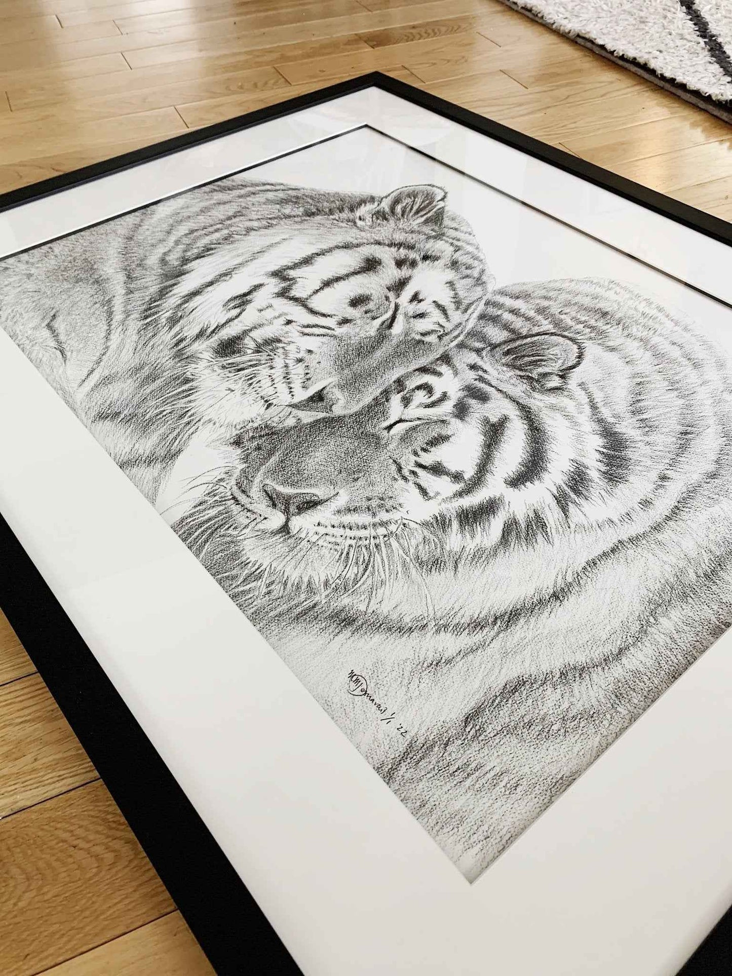 Amur Tigers - wildlife art print - collaboration with  La Fondation du Zoo de Granby