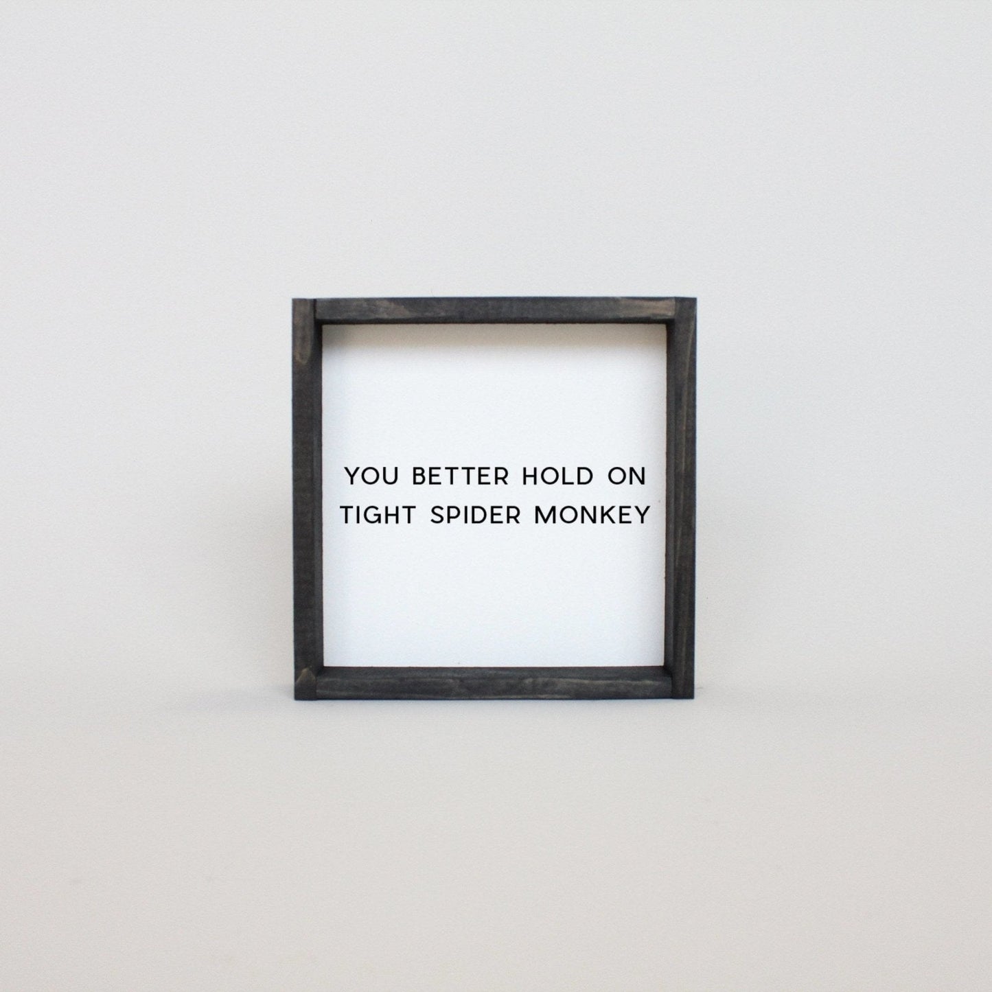You Better Hold on Tight Spider Monkey Wood Sign